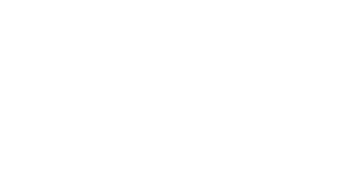 安徽软云信息科技有限公司